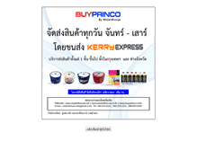 Tablet Screenshot of buyprinco.com